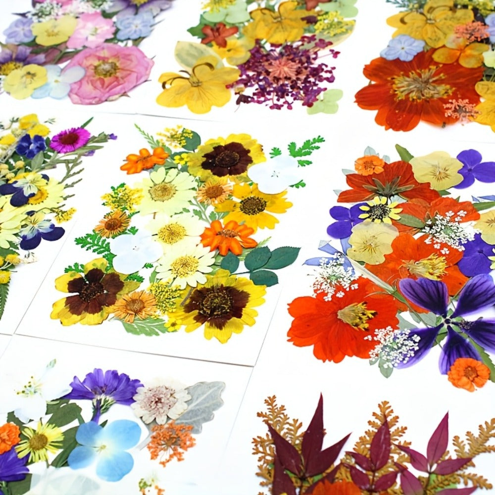 Dried Pressed Flowers Kit 500pcs – Natural Real Flower Petals & Leaves for Resin Art, Nail Art, Jewelry Making, Scrapbooking, Phone Case Decor, Candle Making & DIY Floral Crafts