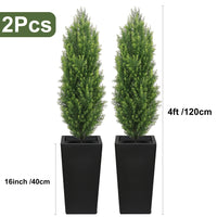 2pcs 4ft+black pots