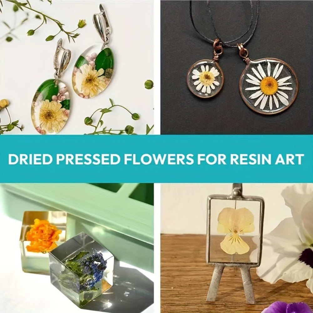 Dried Flower Set for Crafts – Real Pressed Flowers for Resin, Scrapbooking, Epoxy Jewelry, Bookmarks, Wedding Cards & Art Decoration, 189 / 238 / 287 / 319 Pieces Mixed Variety Pack
