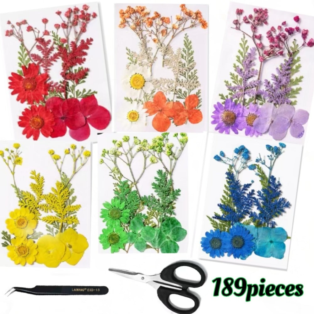Dried Flower Set for Crafts – Real Pressed Flowers for Resin, Scrapbooking, Epoxy Jewelry, Bookmarks, Wedding Cards & Art Decoration, 189 / 238 / 287 / 319 Pieces Mixed Variety Pack