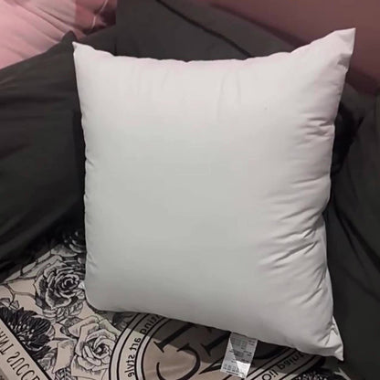Throw Pillow Inserts 4 Pack Fluffy Square Pillow Stuffers with Zipper Plump White Cushion Inserts for Sofa Couch Bed Decorative Pillow Filler Machine Washable Multiple Sizes 14 16 18 20 22 Inch