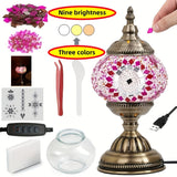 Pink (Three-color adjustable light source)