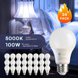 5000K 100W Equivalent
