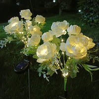White Exquisite Peony