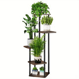 5 Tier Black oak