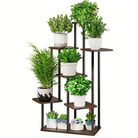 7 Tier Black oak