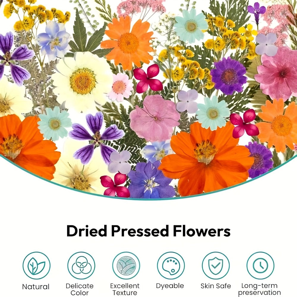 Dried Pressed Flowers Kit 500pcs – Natural Real Flower Petals & Leaves for Resin Art, Nail Art, Jewelry Making, Scrapbooking, Phone Case Decor, Candle Making & DIY Floral Crafts