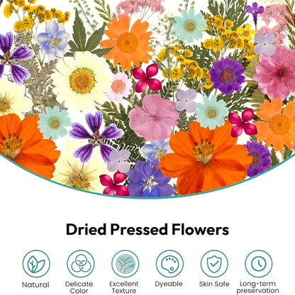 Dried Pressed Flowers Kit 500pcs – Natural Real Flower Petals & Leaves for Resin Art, Nail Art, Jewelry Making, Scrapbooking, Phone Case Decor, Candle Making & DIY Floral Crafts