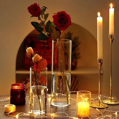 Glass Cylinder Vases 24 Pack Clear 4 8 12 Inch Tall Bulk Set for Wedding Centerpieces Floating Candle Holders Flower Vase DIY Candle Making Table Decor Home Decoration