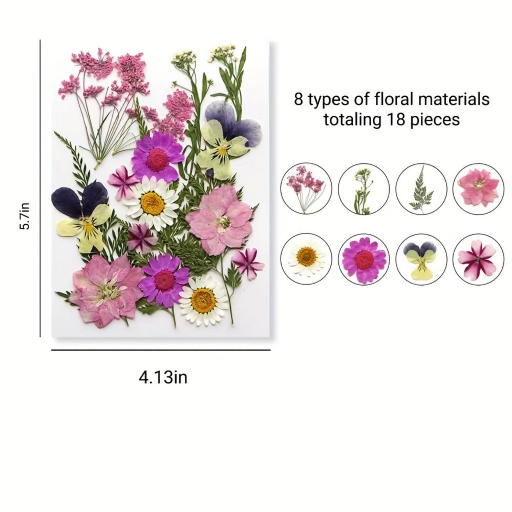 Dried Flower Set for Crafts – Real Pressed Flowers for Resin, Scrapbooking, Epoxy Jewelry, Bookmarks, Wedding Cards & Art Decoration, 189 / 238 / 287 / 319 Pieces Mixed Variety Pack
