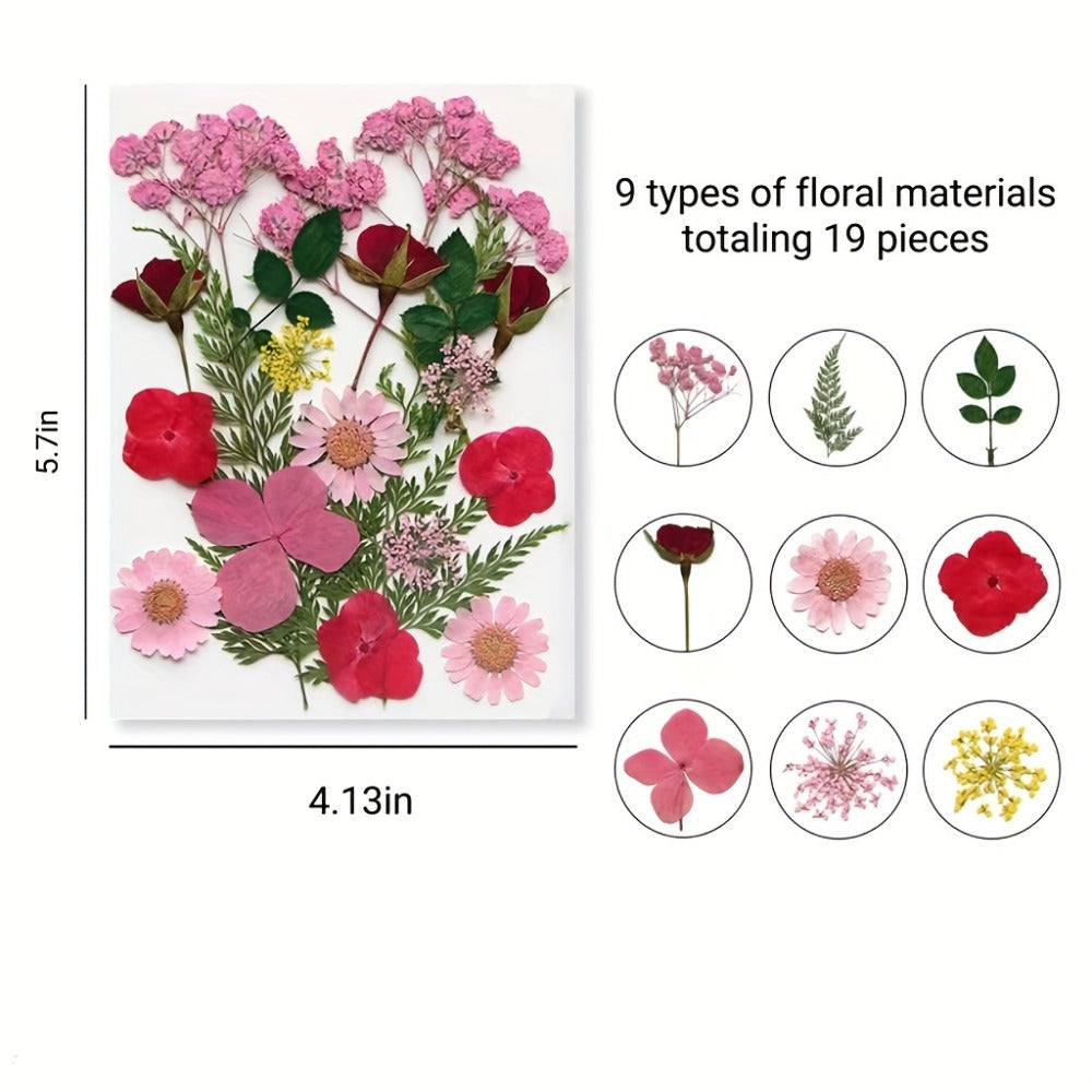 Dried Flower Set for Crafts – Real Pressed Flowers for Resin, Scrapbooking, Epoxy Jewelry, Bookmarks, Wedding Cards & Art Decoration, 189 / 238 / 287 / 319 Pieces Mixed Variety Pack