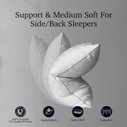 Hotel Collection Feather Down Bed Pillows Set of 2 – 500 Thread Count 100% Cotton, Soft Hypoallergenic Queen King Standard Size Back Side Sleeper Pillow 2 Pack