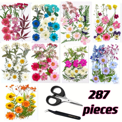 Dried Flower Set for Crafts – Real Pressed Flowers for Resin, Scrapbooking, Epoxy Jewelry, Bookmarks, Wedding Cards & Art Decoration, 189 / 238 / 287 / 319 Pieces Mixed Variety Pack