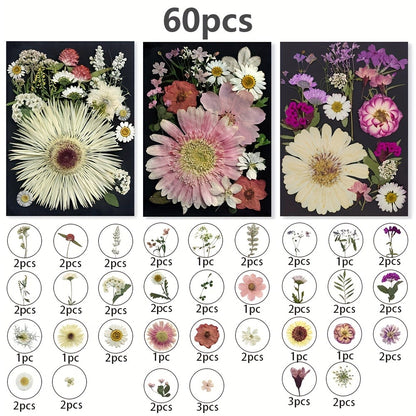 Dried Pressed Flowers for Resin 60pcs Real Pressed Flowers Dry Leaves Bulk Natural Herbs Kit for Scrapbooking DIY Art Crafts, Epoxy Resin Jewelry Molds, Candle Soap Making Nail Decor