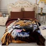 Brown Tiger & Leopard