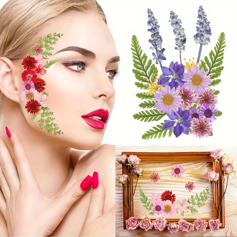 Dried Flower Set for Crafts – Real Pressed Flowers for Resin, Scrapbooking, Epoxy Jewelry, Bookmarks, Wedding Cards & Art Decoration, 189 / 238 / 287 / 319 Pieces Mixed Variety Pack