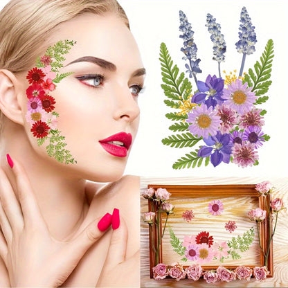 Dried Flower Set for Crafts – Real Pressed Flowers for Resin, Scrapbooking, Epoxy Jewelry, Bookmarks, Wedding Cards & Art Decoration, 189 / 238 / 287 / 319 Pieces Mixed Variety Pack