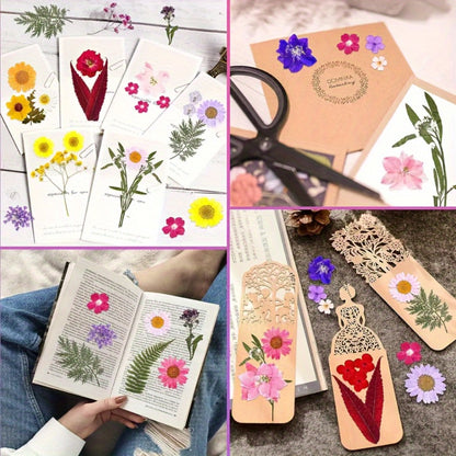 Dried Flower Set for Crafts – Real Pressed Flowers for Resin, Scrapbooking, Epoxy Jewelry, Bookmarks, Wedding Cards & Art Decoration, 189 / 238 / 287 / 319 Pieces Mixed Variety Pack