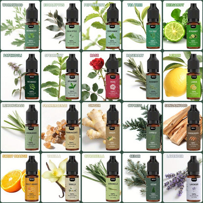 Essential Oils Set for Diffuser – Rosemary Aromatherapy Scented Oils for Home Air Freshening, Humidifier, Candle Making & Laundry, Perfect Valentine's Day Gift for Women (6/10/20 x 0.34oz)