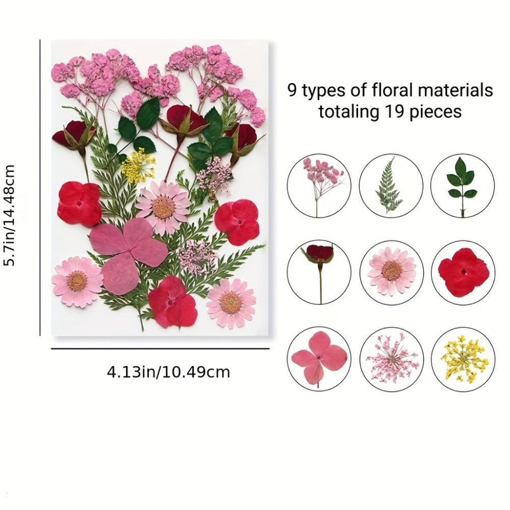 Dried Flower Set for Crafts – Real Pressed Flowers for Resin, Scrapbooking, Epoxy Jewelry, Bookmarks, Wedding Cards & Art Decoration, 189 / 238 / 287 / 319 Pieces Mixed Variety Pack
