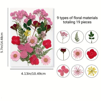 Dried Flower Set for Crafts – Real Pressed Flowers for Resin, Scrapbooking, Epoxy Jewelry, Bookmarks, Wedding Cards & Art Decoration, 189 / 238 / 287 / 319 Pieces Mixed Variety Pack