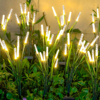 Warm Light-4pcs