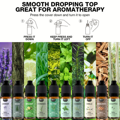 Essential Oils Set for Diffuser – Rosemary Aromatherapy Scented Oils for Home Air Freshening, Humidifier, Candle Making & Laundry, Perfect Valentine's Day Gift for Women (6/10/20 x 0.34oz)