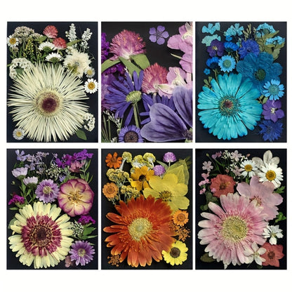 Dried Pressed Flowers for Resin 60pcs Real Pressed Flowers Dry Leaves Bulk Natural Herbs Kit for Scrapbooking DIY Art Crafts, Epoxy Resin Jewelry Molds, Candle Soap Making Nail Decor