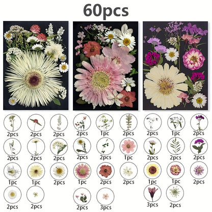 Dried Pressed Flowers for Resin 60pcs Real Pressed Flowers Dry Leaves Bulk Natural Herbs Kit for Scrapbooking DIY Art Crafts, Epoxy Resin Jewelry Molds, Candle Soap Making Nail Decor