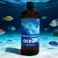 Ocean