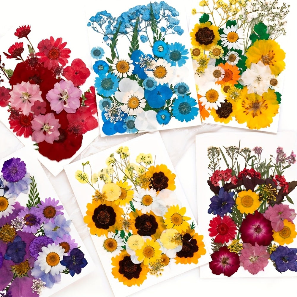 Dried Pressed Flowers Kit 500pcs – Natural Real Flower Petals & Leaves for Resin Art, Nail Art, Jewelry Making, Scrapbooking, Phone Case Decor, Candle Making & DIY Floral Crafts