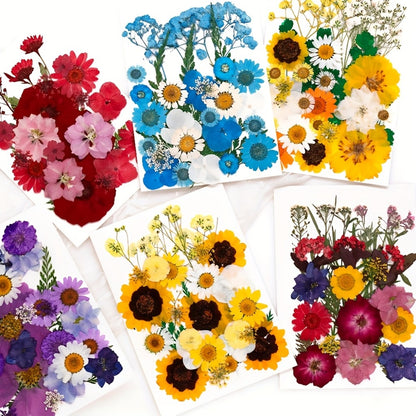 Dried Pressed Flowers Kit 500pcs – Natural Real Flower Petals & Leaves for Resin Art, Nail Art, Jewelry Making, Scrapbooking, Phone Case Decor, Candle Making & DIY Floral Crafts