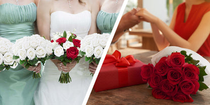 Artificial Roses Bulk with Long Stems – Real Touch Velvet Fake Flowers for Wedding Bouquet, Bridal Centerpiece, Valentine's Day, Mother's Day, Home Decor (50/100pcs, Multi Colors)