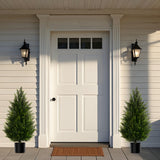 3FT/2Pack with Lush Foliage