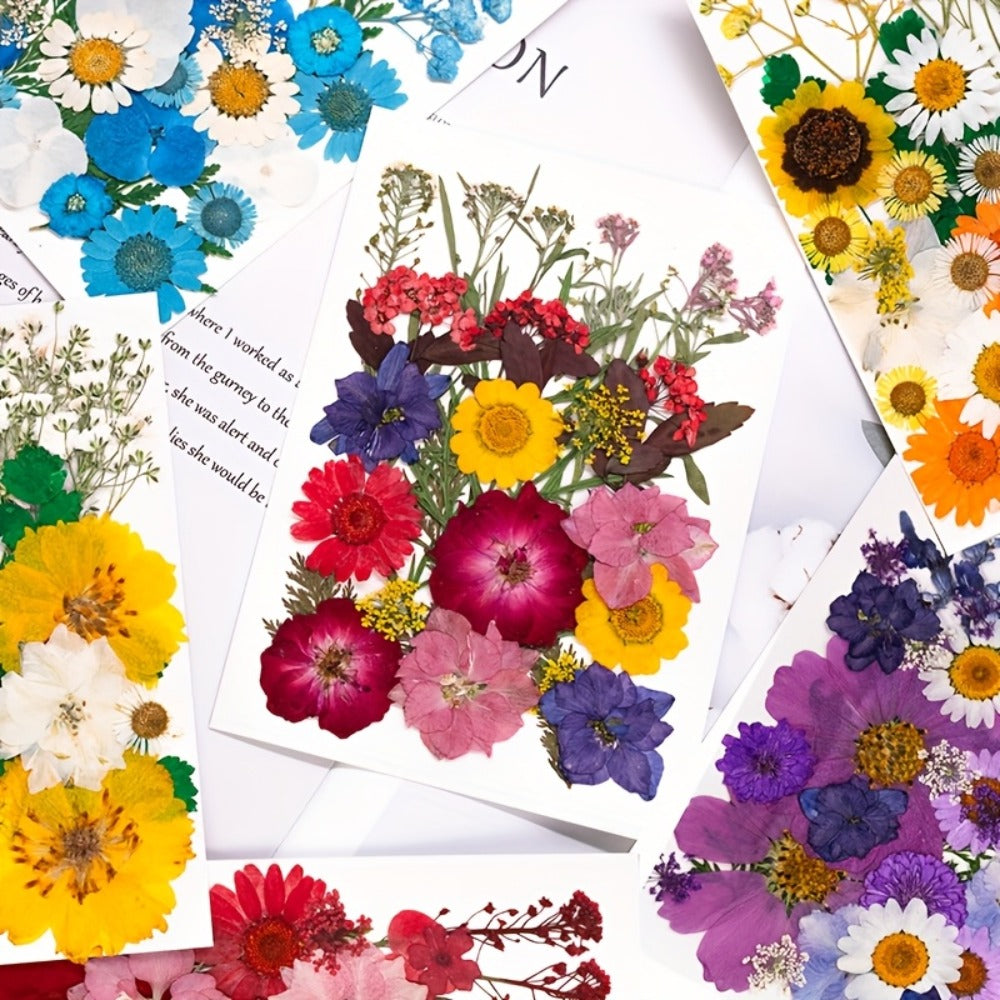 Dried Pressed Flowers Kit 500pcs – Natural Real Flower Petals & Leaves for Resin Art, Nail Art, Jewelry Making, Scrapbooking, Phone Case Decor, Candle Making & DIY Floral Crafts
