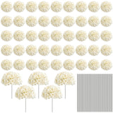 72pcs-Champagne