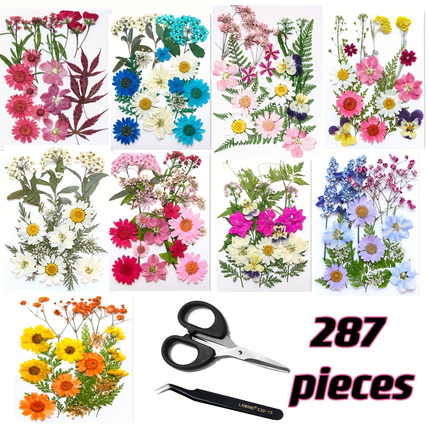 Dried Flower Set for Crafts – Real Pressed Flowers for Resin, Scrapbooking, Epoxy Jewelry, Bookmarks, Wedding Cards & Art Decoration, 189 / 238 / 287 / 319 Pieces Mixed Variety Pack