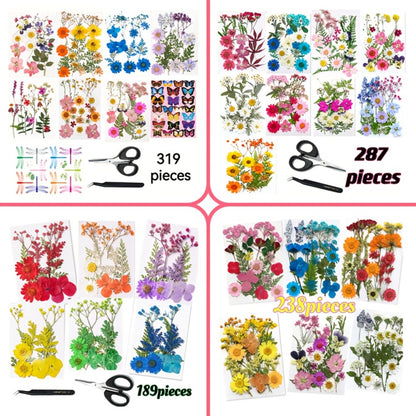 Dried Flower Set for Crafts – Real Pressed Flowers for Resin, Scrapbooking, Epoxy Jewelry, Bookmarks, Wedding Cards & Art Decoration, 189 / 238 / 287 / 319 Pieces Mixed Variety Pack