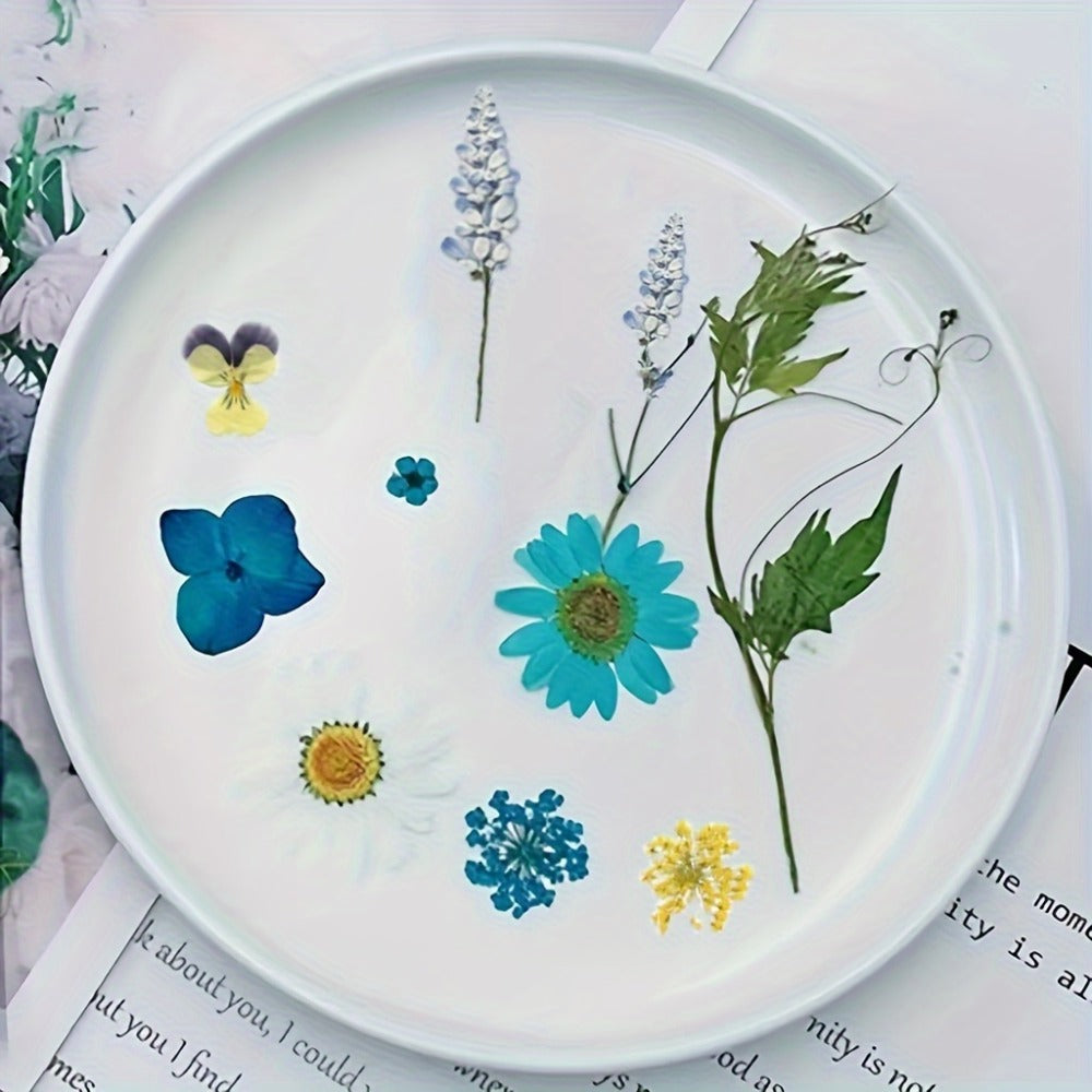 Dried Flower Set for Crafts – Real Pressed Flowers for Resin, Scrapbooking, Epoxy Jewelry, Bookmarks, Wedding Cards & Art Decoration, 189 / 238 / 287 / 319 Pieces Mixed Variety Pack