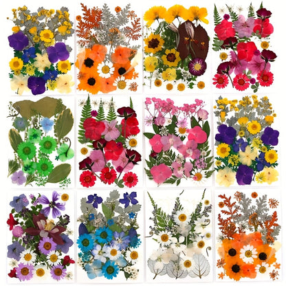 Dried Pressed Flowers Kit 500pcs – Natural Real Flower Petals & Leaves for Resin Art, Nail Art, Jewelry Making, Scrapbooking, Phone Case Decor, Candle Making & DIY Floral Crafts