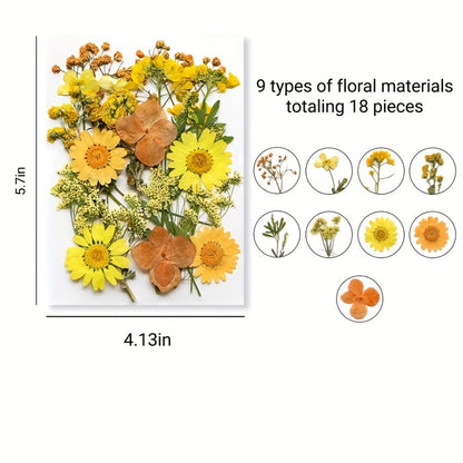 Dried Flower Set for Crafts – Real Pressed Flowers for Resin, Scrapbooking, Epoxy Jewelry, Bookmarks, Wedding Cards & Art Decoration, 189 / 238 / 287 / 319 Pieces Mixed Variety Pack