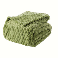 Olive Turtle Shell