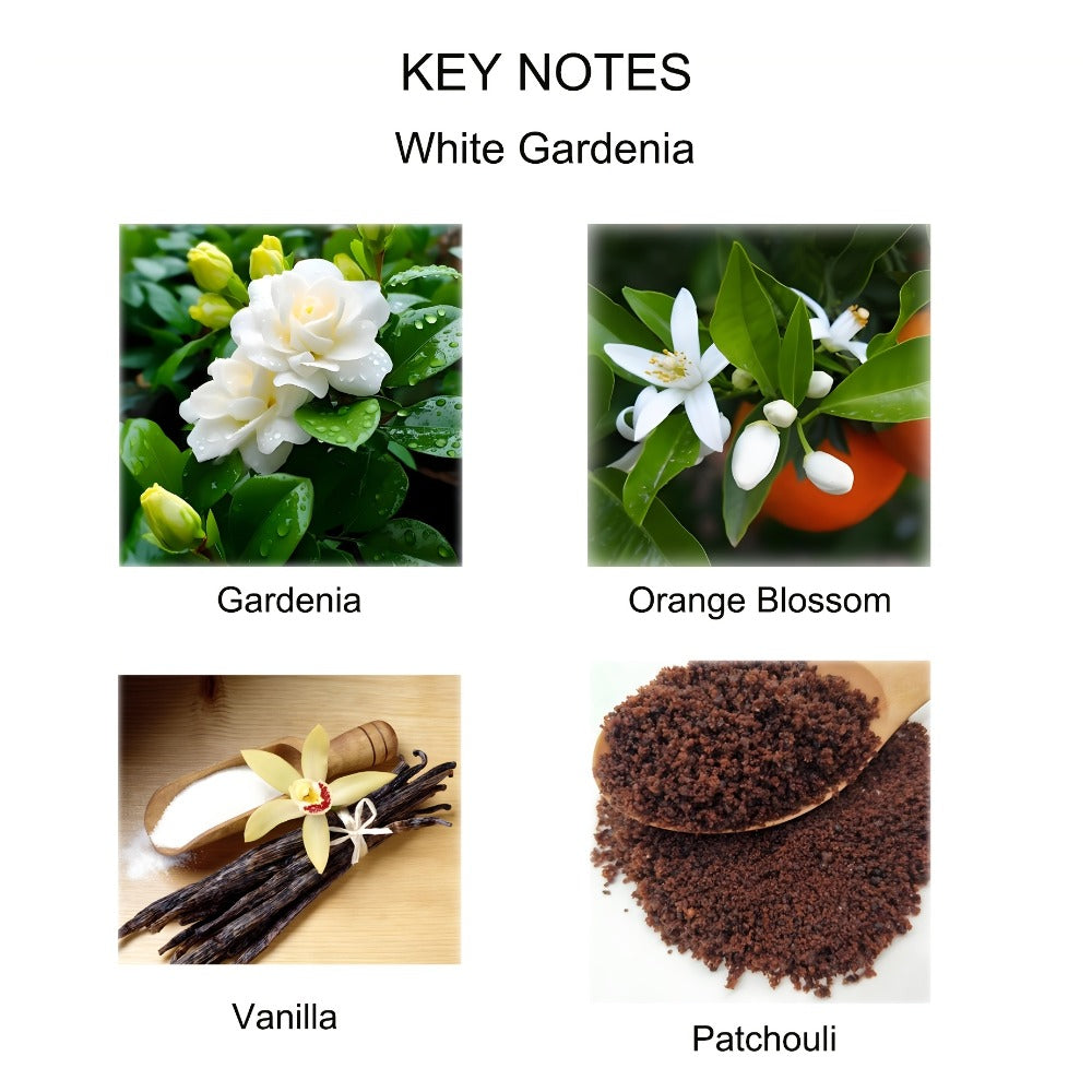 Reed Diffuser Set with Dried Flowers – Jasmine, Cedar, Sandalwood & Gardenia Scents, 120ml 90-Day Long-Lasting Home Fragrance