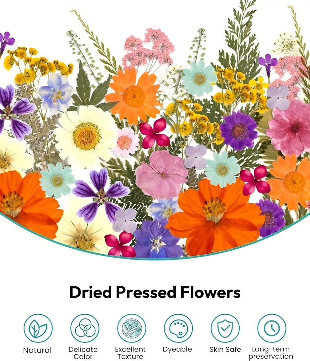 Dried Pressed Flowers Kit 500pcs – Natural Real Flower Petals & Leaves for Resin Art, Nail Art, Jewelry Making, Scrapbooking, Phone Case Decor, Candle Making & DIY Floral Crafts