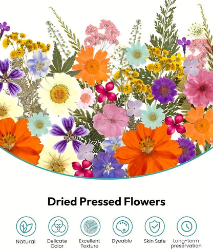 Dried Pressed Flowers Kit 500pcs – Natural Real Flower Petals & Leaves for Resin Art, Nail Art, Jewelry Making, Scrapbooking, Phone Case Decor, Candle Making & DIY Floral Crafts