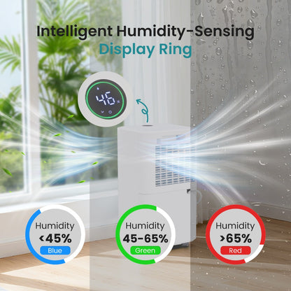 Dehumidifier for Basement 50 Pint 5500 Sq Ft with Drain Hose, Portable Home Dehumidifier for Large Room Bedroom Bathroom, 3 Modes Auto Shut-Off Quiet Fan Washable Filter Humidity Control