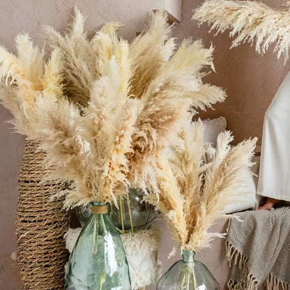 Natural Pampas Grass Decor 40 Inch Tall Dried Pampas Grass Stems for Vase Wedding Boho Farmhouse Home Decor Living Room Floor Arrangement