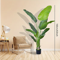 New Bird of Paradise 62.99inch