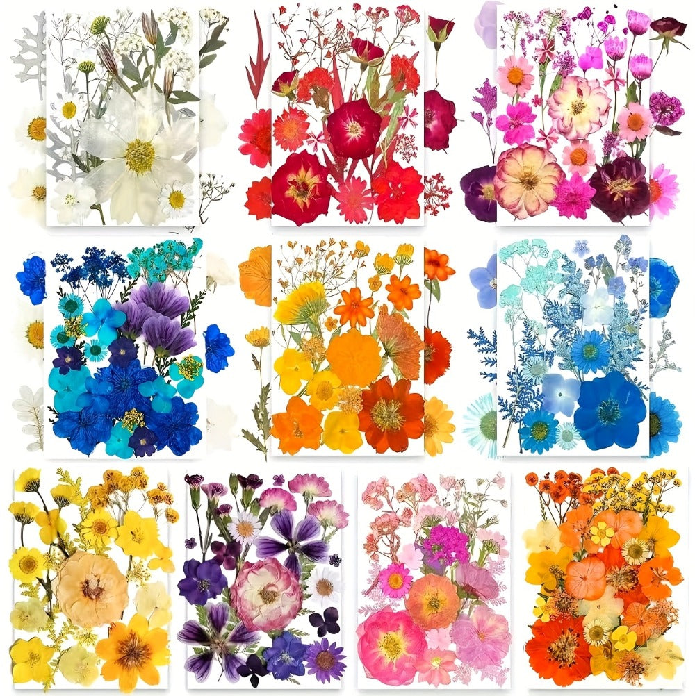 Dried Pressed Flowers Kit 500pcs – Natural Real Flower Petals & Leaves for Resin Art, Nail Art, Jewelry Making, Scrapbooking, Phone Case Decor, Candle Making & DIY Floral Crafts