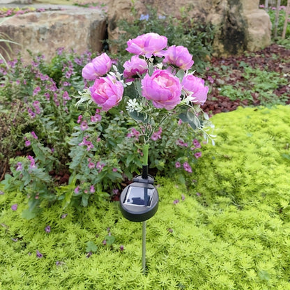 Solar Peony Flower Light 2PCS IP65 Waterproof - 84 LED Artificial Blooms 14 Fancy Lights Solar Powered Outdoor Garden Stake Lights for Lawn Yard Patio Holiday Decor Mother's Day Gift - 4 Colors